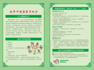 脑卒中健康教育处方双面DM单