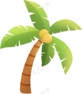 椰树  叶子   椰树素材   椰树插画  免扣素材  透明素材