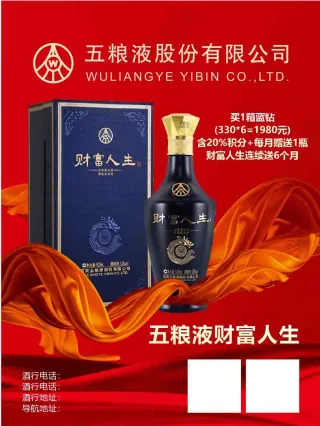 传统红色五粮液酒袋子包装