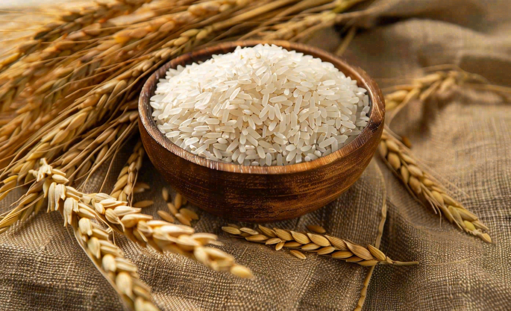 世界粮食日谷物米饭稻谷小麦摄影图