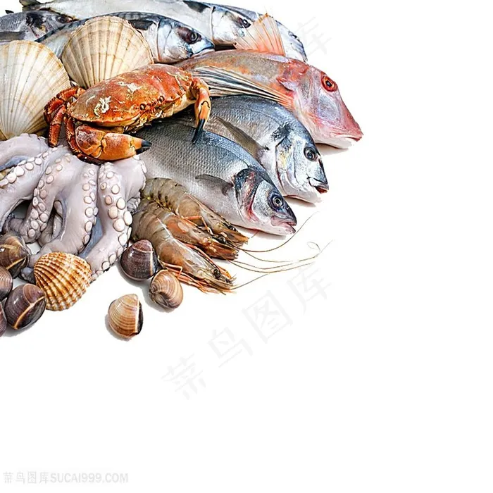 高清螃蟹扇贝海螺鱼海鲜图片