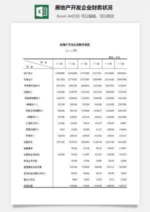 房地产开发企业财务状况excel模板预览图