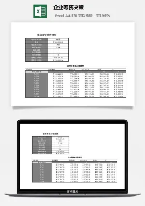 企业筹资决策excel模板预览图