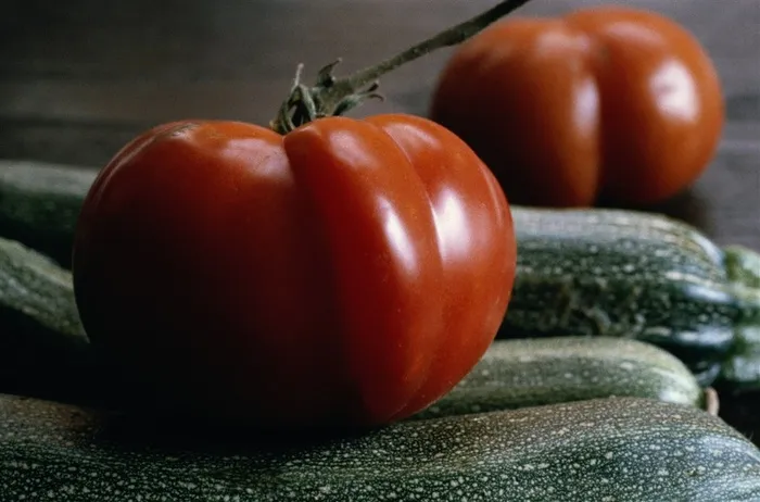西红柿辣椒卷心菜好吃的水果素材