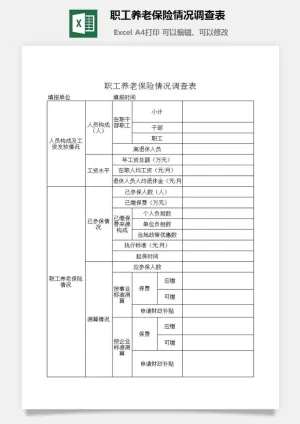 职工养老保险情况调查表excel模板预览图
