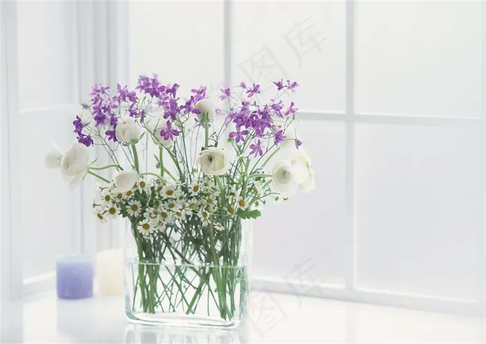 浪漫紫色碎花白色玫瑰雏菊蜡烛窗台清新现代简约玻璃花瓶插花装饰室内家居图片素材