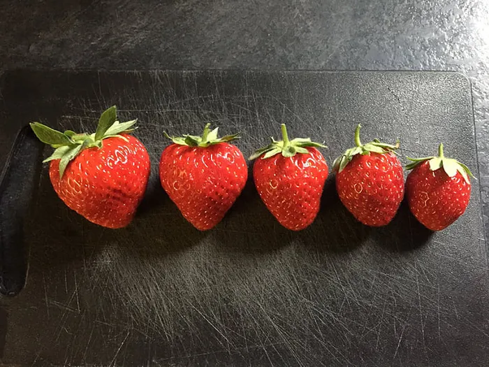 草莓 水果 红色素材 (14)