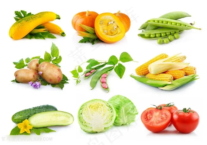 新鲜的有机蔬菜高清图片蔬菜图片