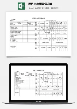 项目支出预算情况表excel模板预览图