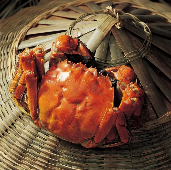 螃蟹美食图片素材