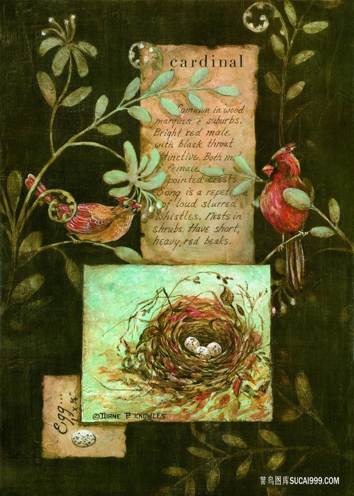 鸟窝植物高清艺术油画 - 菜鸟图库