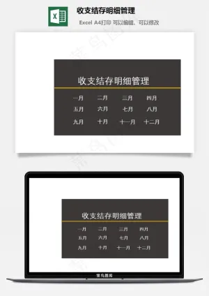 收支结存明细管理预览图