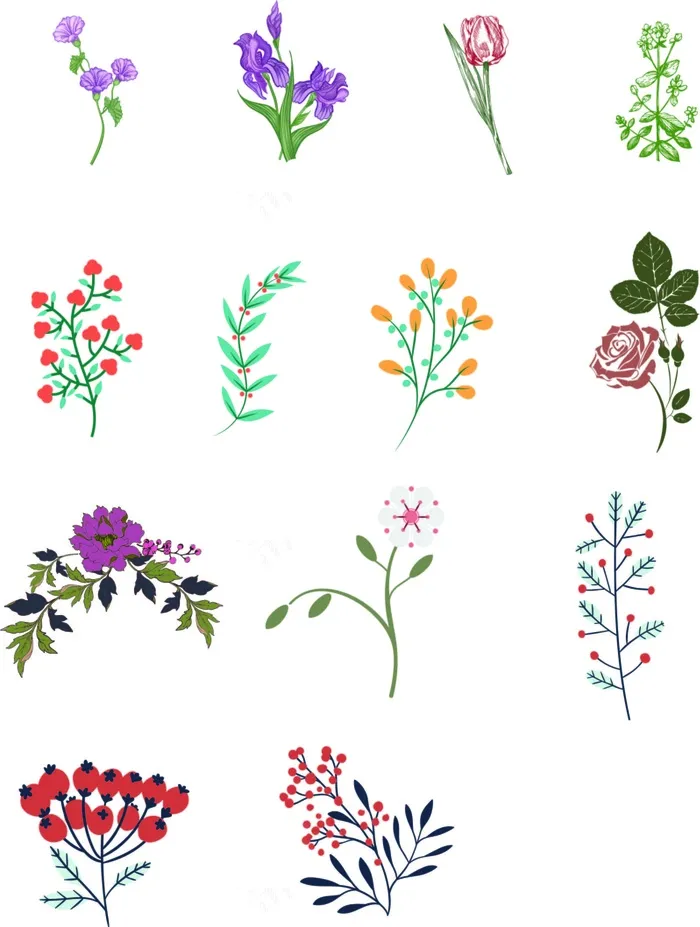 多样性种类花花
