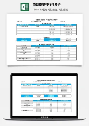 项目投资可行性分析excel模板预览图