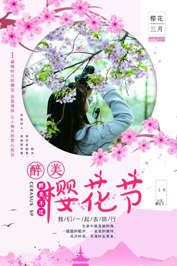 樱花节 樱花活动海报