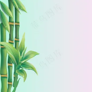 绿竹背景图片 菜鸟图库