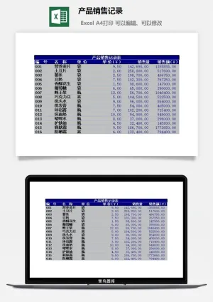 产品销售记录excel模板预览图