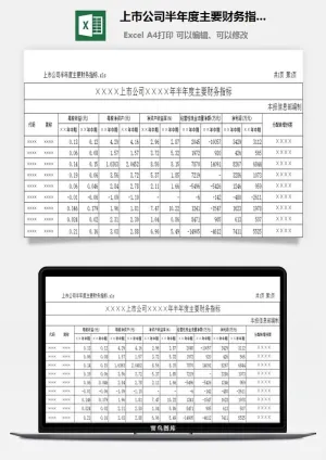 上市公司半年度主要财务指标excel模板预览图