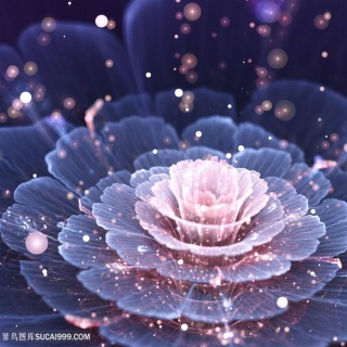 唯美梦幻3d浮雕白色立体花图片 - 菜鸟图库