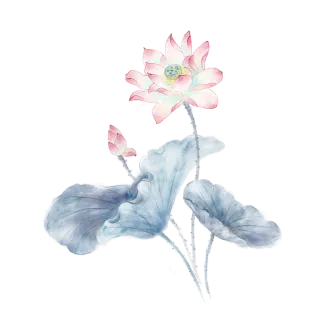 水墨荷花元素莲花植物水彩手绘中国风古风国画PNG透明背景插画