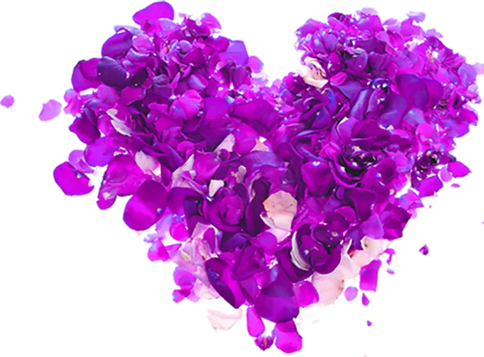 紫色爱心情人节