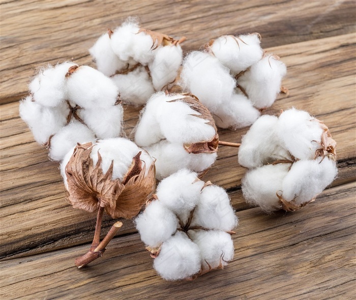 木地板上的棉花高清图片
