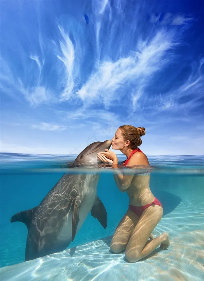 和海豚亲吻的美女图片