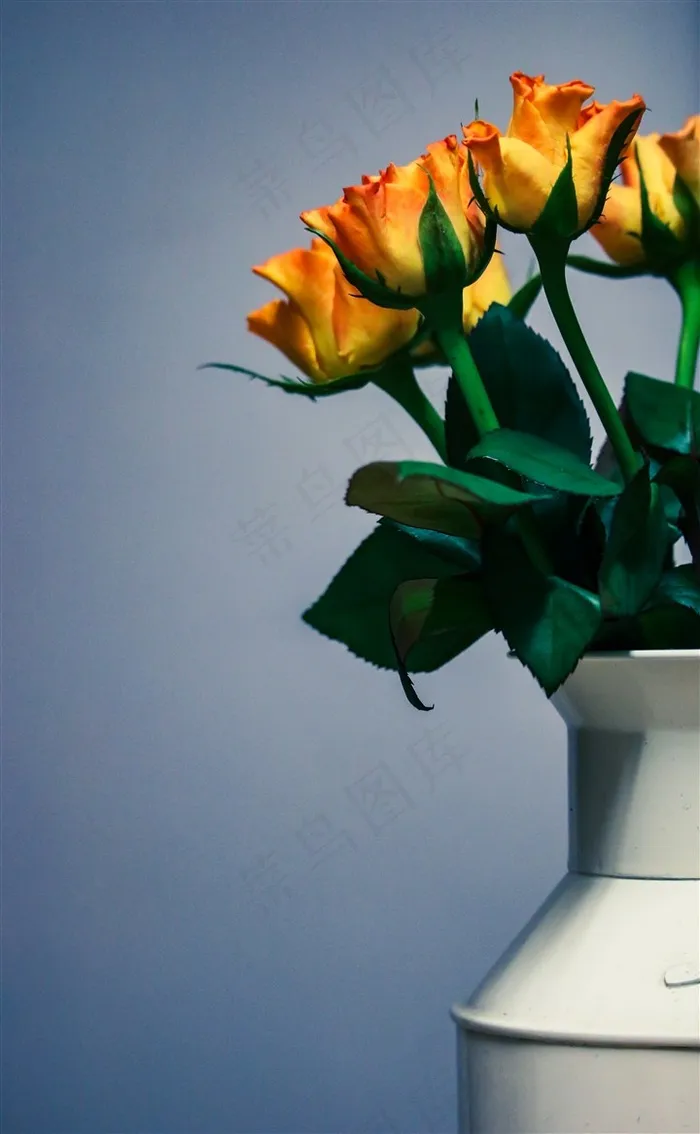 花瓶里的黄玫瑰