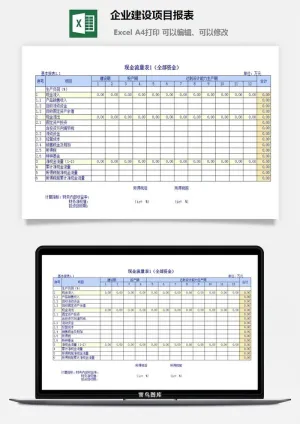 企业建设项目报表excel模板预览图