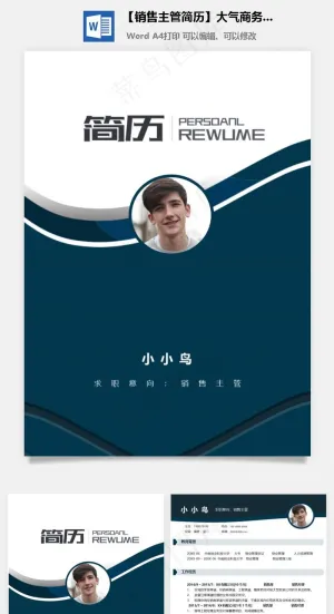 【销售主管简历】大气商务个人求职简历应届生套装预览图