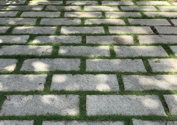 草坪石板路图片 菜鸟图库
