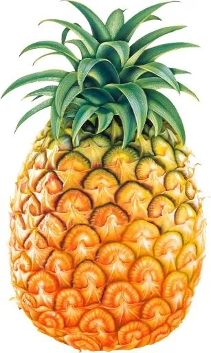 菠萝水果 PNG免抠