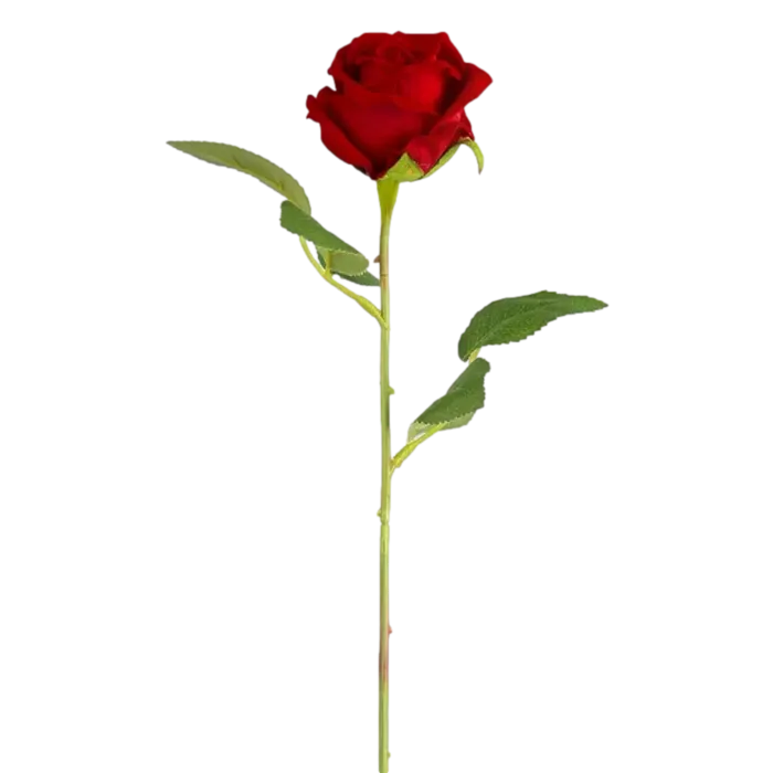 一支玫瑰鲜花免扣素材