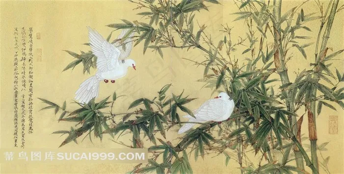 花鸟白鸽绿竹艺术图片