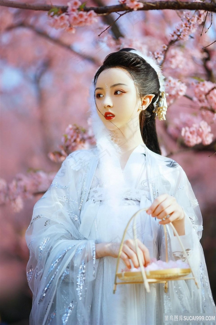 桃花族极品古装美女摄影图片高清