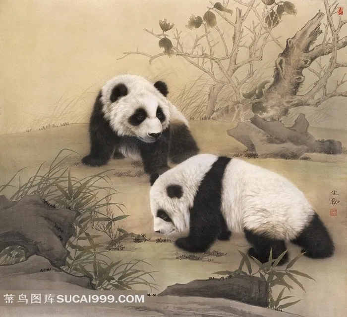 中国工笔画可爱熊猫图片