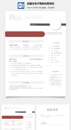 应届生电子商务运营简历预览图