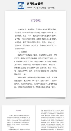 实习总结-律师预览图