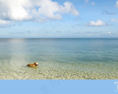 广阔的大海蓝天背景1920900pxpsd模版下载