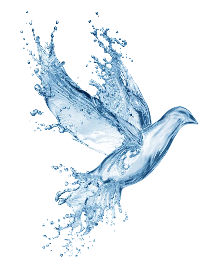 水滴鸽子保护水源