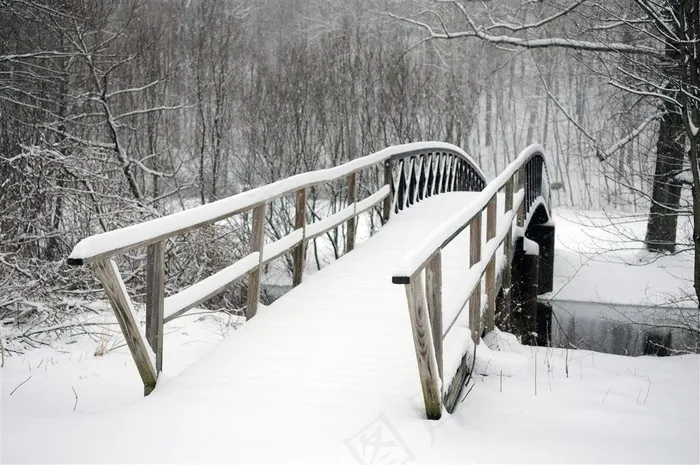 下过雪的小桥和树林风景图片
