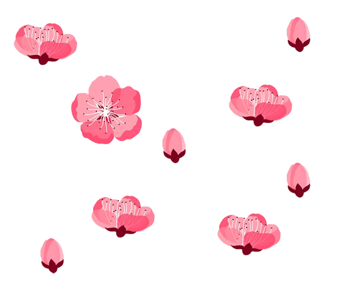 腊梅花花朵