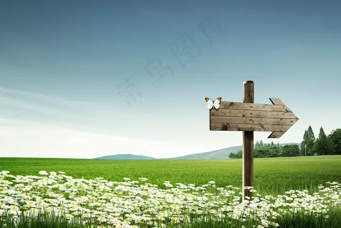 创意广告素材 清新自然的大片草地和木质指示牌