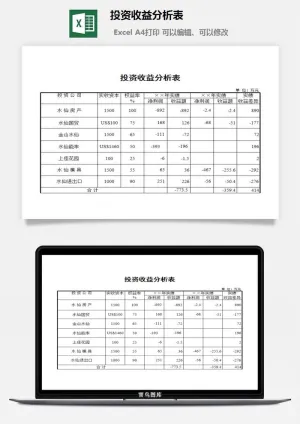 投资收益分析表excel模板预览图