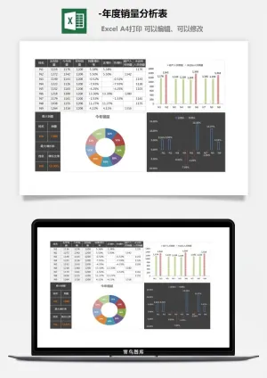 6-年度销量分析表预览图