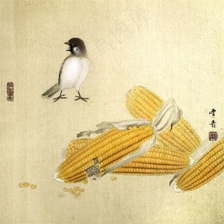 玉米小鸟工笔画