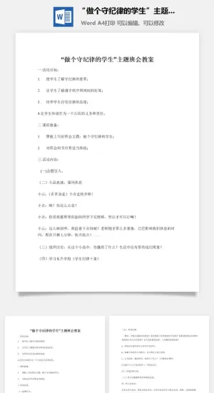 “做个守纪律的学生”主题班会教案预览图