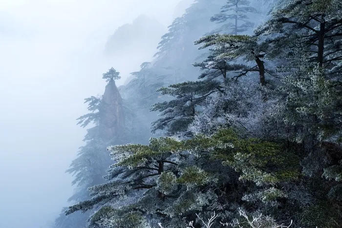 安徽黄山雪景树挂图片-第3张