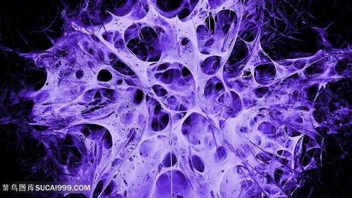 科技紫色时尚壁纸