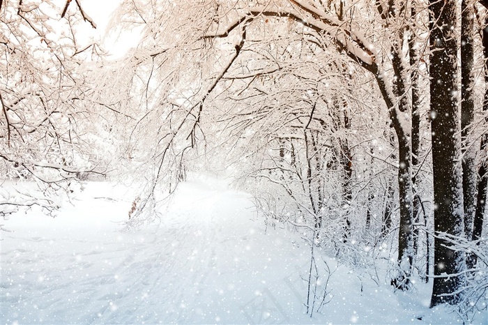 雪景图片大全唯美微信图片